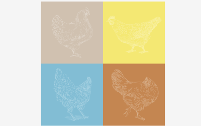 Guía de recomendaciones Hennovation: manejo de las gallinas de desvieje