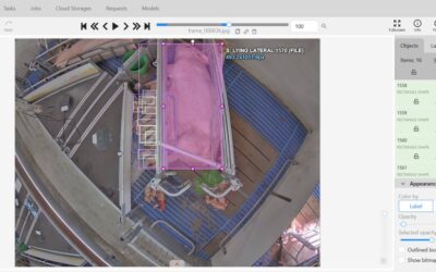 DeepCare4Pigs: Inteligencia Artificial para mejorar el bienestar y la eficiencia productiva en porcino